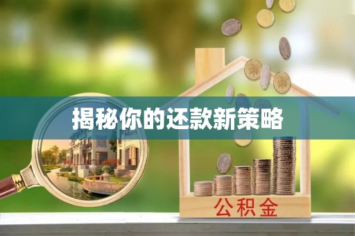 应县揭秘你的还款新策略