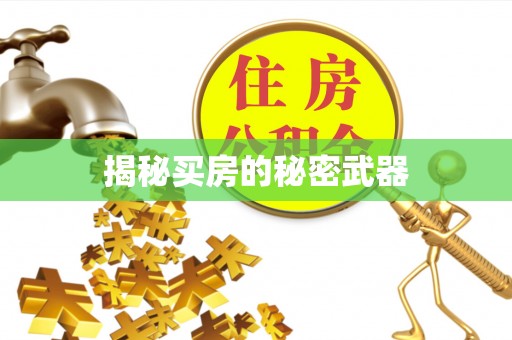 应县揭秘买房的秘密武器